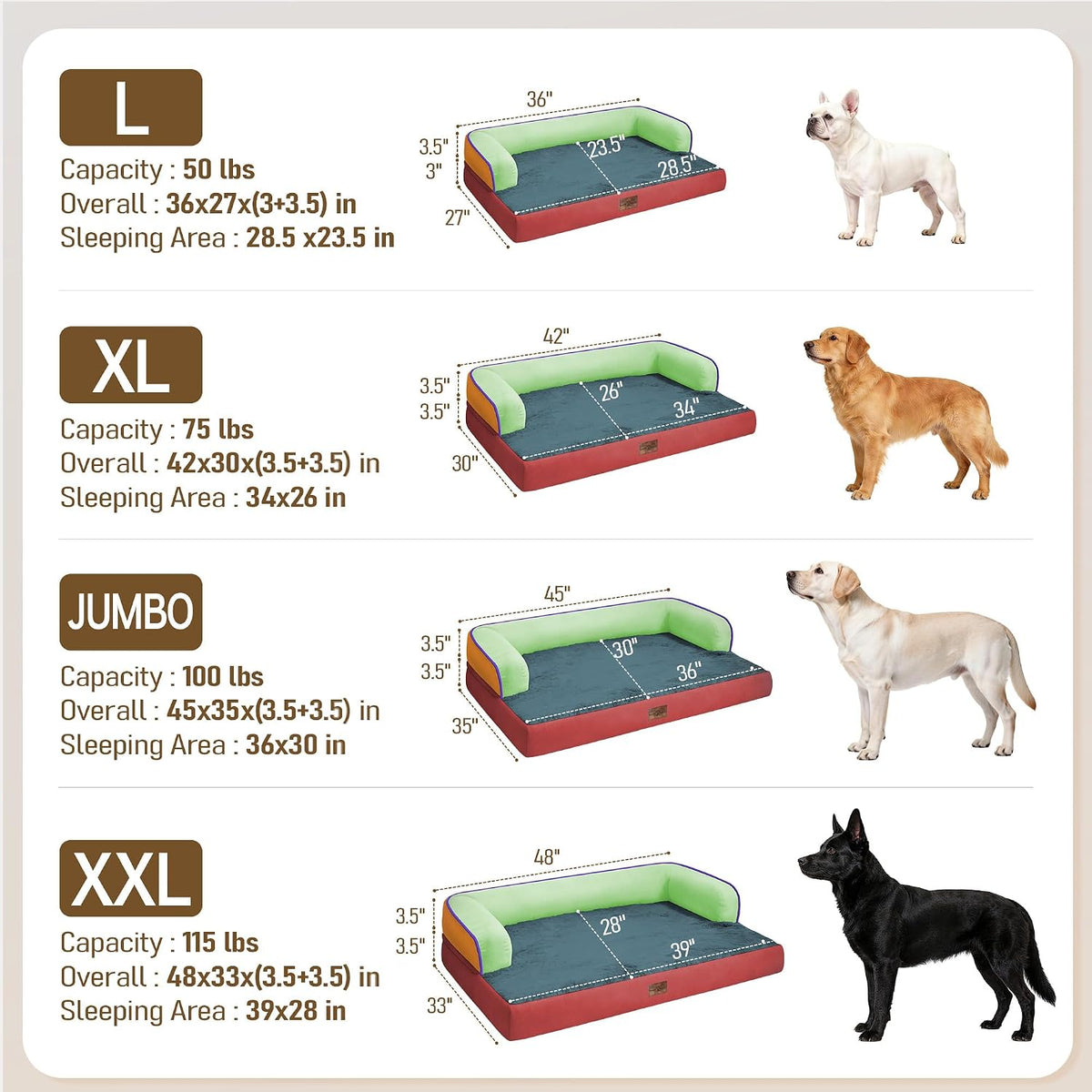 Comfort Expression Orthopedic XL Dog Bed for Large and Extra Large - Mint Fiesta / 42"L x 30"W x 7.5"Th - image 4