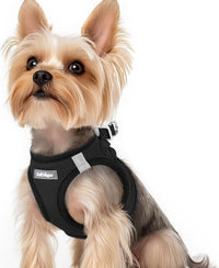 rabbitgoo Step-in Small Dog Harness - Black / Xs(chest:13.3"-15.5")