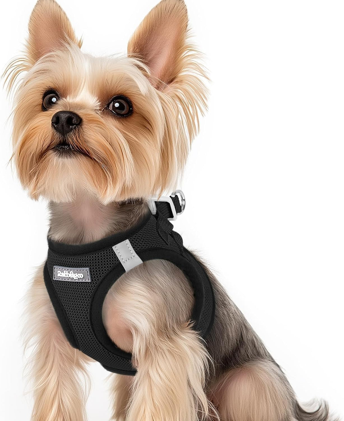 rabbitgoo Step-in Small Dog Harness - Black / Xs(chest:13.3"-15.5")