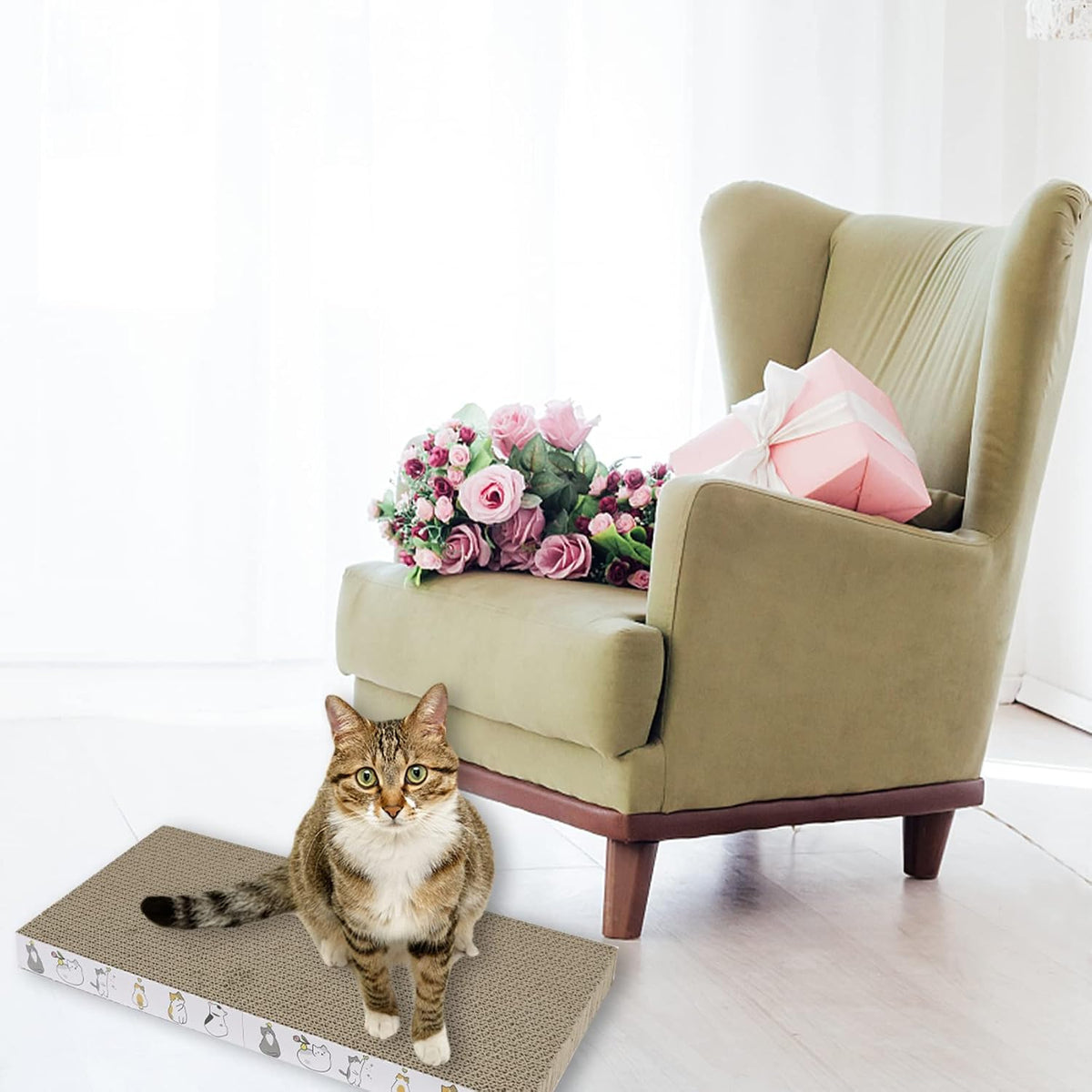 PatiencET Cat Scratch Pad with Box - Flat - 3 Pack - image 3