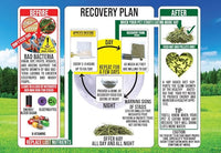 Sherwood Pet Health Rabbit Emergency kit and Bulk Recovery Food (800 Grams)…