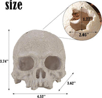 Resin Reptile Hideout for Tank Realistic Skull Decor for Terrarium - White - image 3