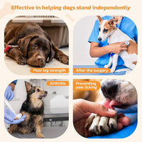 Non-Slip Paw Protector Pads for Senior Dogs, Anti-Slip Rubber Traction Stickers, Protect Dogs' Paws on Hardwood Floor, Blue, 48pcs, M (11-20lbs)
