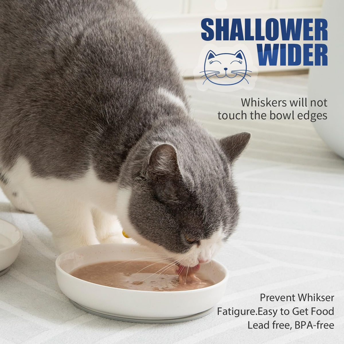 Shallow Wide Elevated Cat Bowls Whisker Fatigue – Essentials for Cats - Grey / Plate with mat(3 pack) - image 2