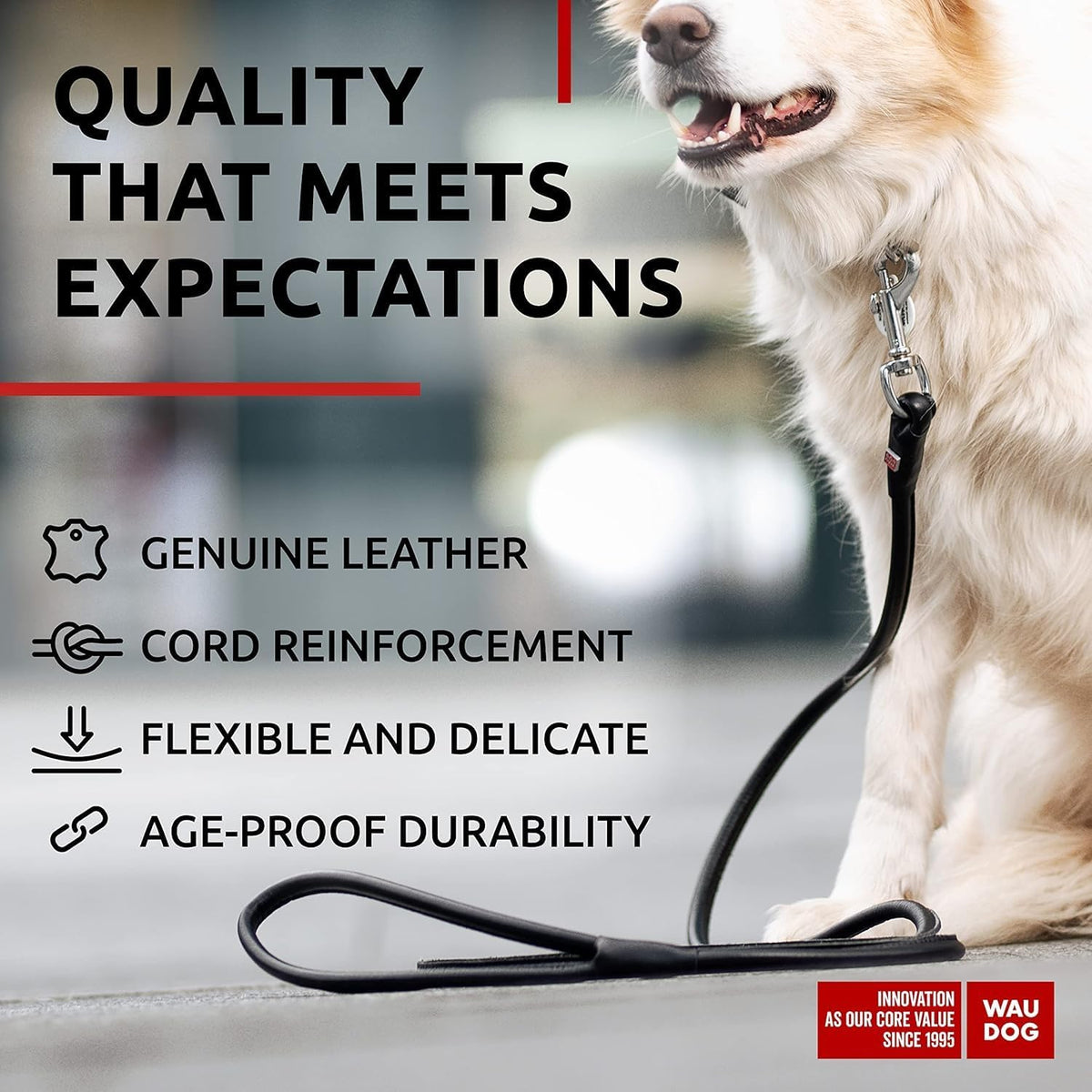 WAUDOG Rolled Leather Dog Leash 4Ft * 0.3 in for Small Medium - Black / 4Ft * 0.5 in - image 3