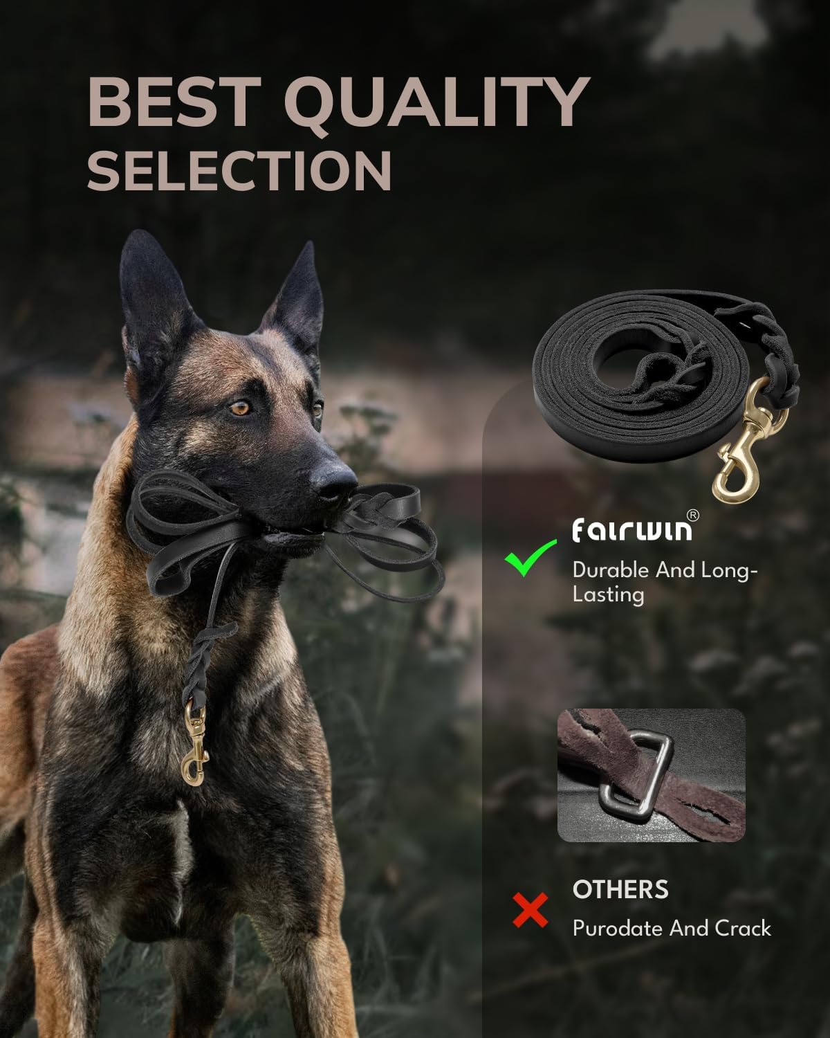Braided Leather Dog Training Leash 6 Foot - Xl - 6 ft x 1 inch / Black - image 2