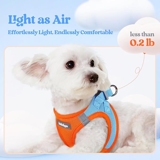 rabbitgoo Dog Harness Small Sized and Leash Set, Step in Soft Light Puppy Vest, Breathable Mesh Pet Harness, Reflective for Safe Easy Walking, Blue & Orange XXXS