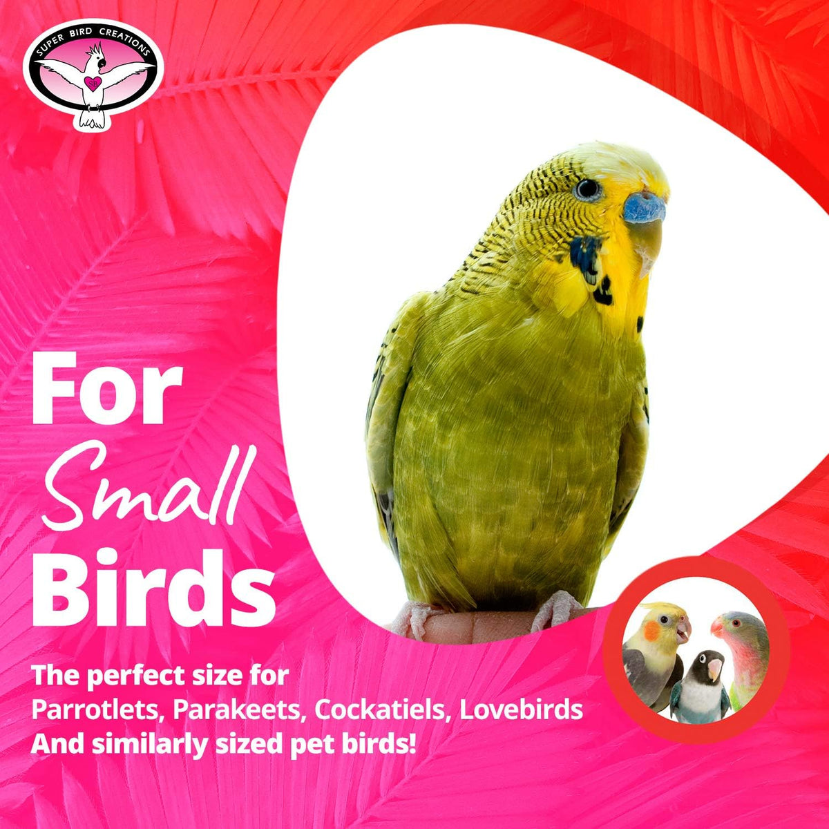 Super Bird Creations SB473 Peekaboo Perch Tent for Small Birds - image 2