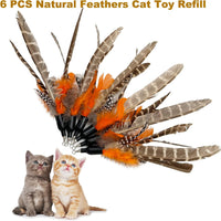 Cat Feather Toys Refills, 6 Pieces Handmade Da Bird Feathers Refill, Cat Wand Replacement Feather - B-6 Pieces Feather Refills - image 2