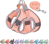 Breathable Dog Harness Small Sized and Leash Set - Pink / XXXS(Chest: 8.5 - 10")