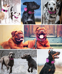 Dog Collar for Large Dogs, with Handle 2" Wide Heavy Duty - Pink / M - image 4