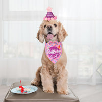 Dog Birthday Hat Bandana Set, Blue Plaid Boy Dog Bandana - Small / Pink Violet Girl - image 2