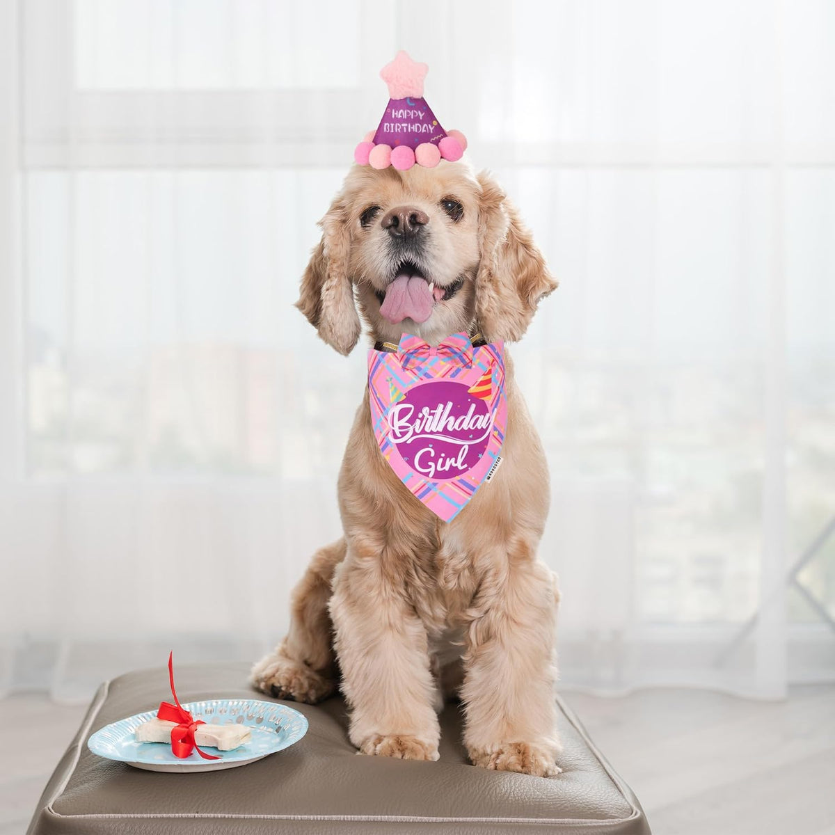 Dog Birthday Hat Bandana Set, Blue Plaid Boy Dog Bandana - Small / Pink Violet Girl - image 2
