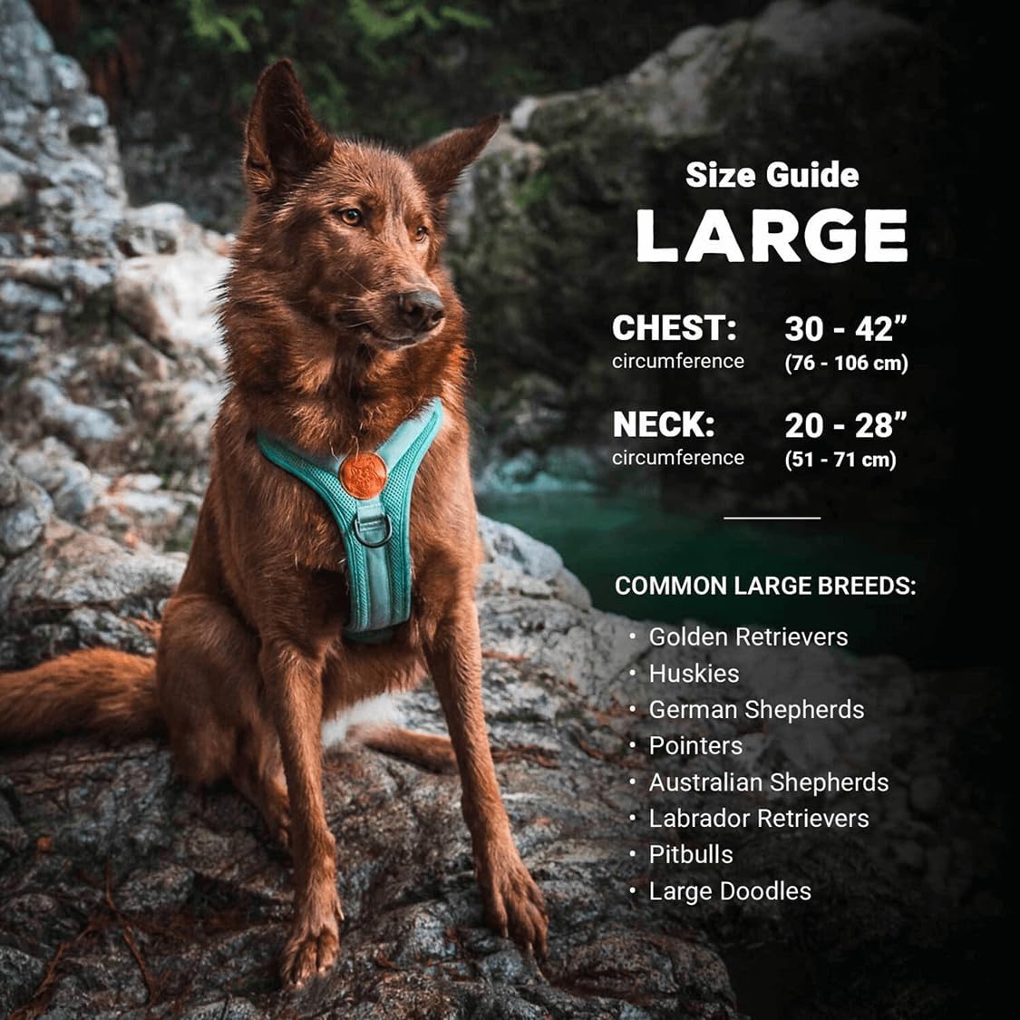 Wilderdog Lightweight Dog Harness with Reflective Straps - Lilac / Large - image 3
