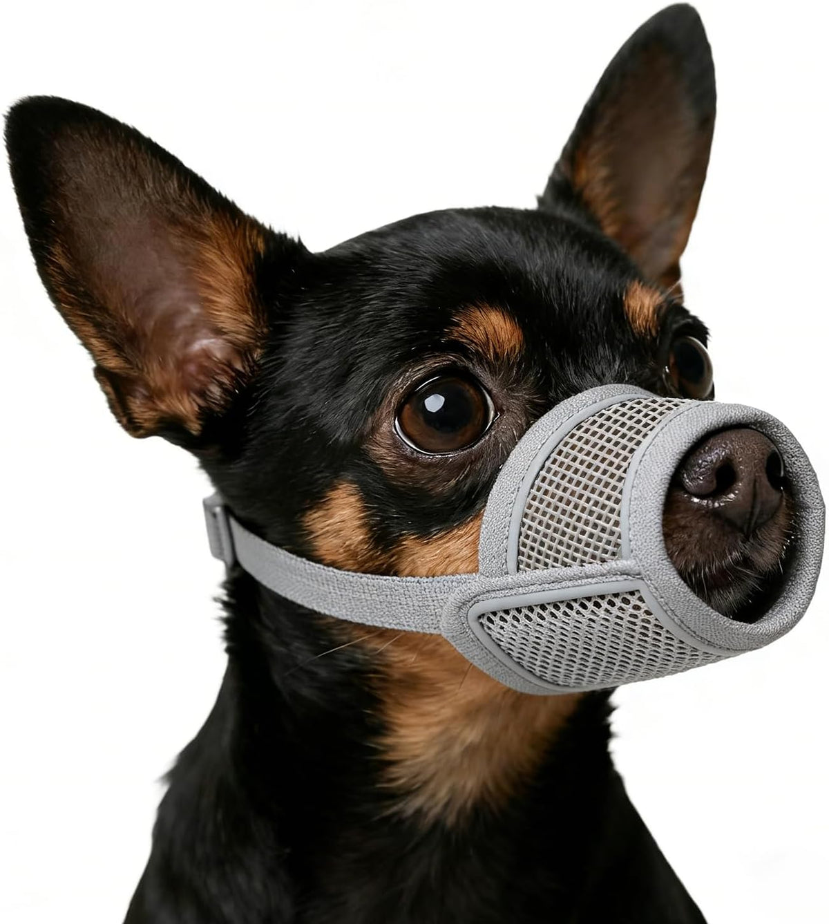 Dog Muzzle for Small Medium Large Dogs Soft Air Mesh Muzzles – Essentials for Dogs - Grey / XS (Snout 5¼"-6")