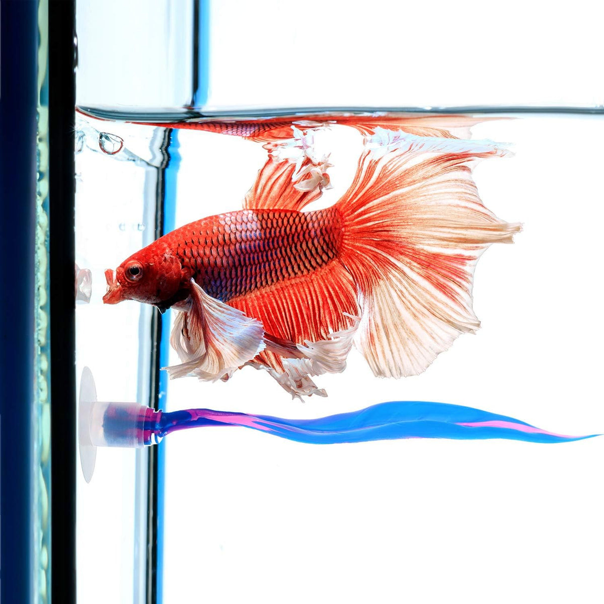 WILLBOND 2 Pcs Blue Pink Silicone Betta Fish Bed Leaf Hammock Betta - Blue - image 4