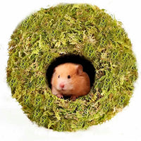 Coconut Hamster Hideout Hamster House Gerbil Cage for Small Animals with a Bundle of Apple Sticks a Carrot (Yellow)