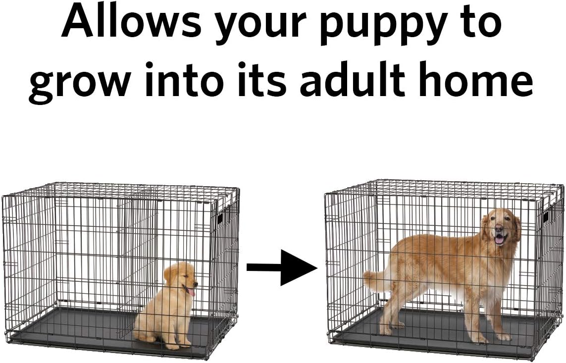 MidWest Homes for Pets Dog Crate Divider Panel for 54-inch Crates - Black / 41.8"L x 37.1"W x 1.5"H / Models 1154, SL54DD - image 4