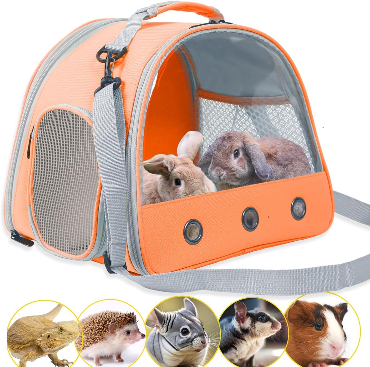Bearded Dragon Travel Carrier, Lizards Carrier - Orange / Carrier