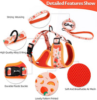 Dog Harness and Leash Set, Adjustable Dog Harness, Dog Leash - Peach / XS(Chest 9.9 - 13.5", Neck 7.8 - 10.2") - image 4