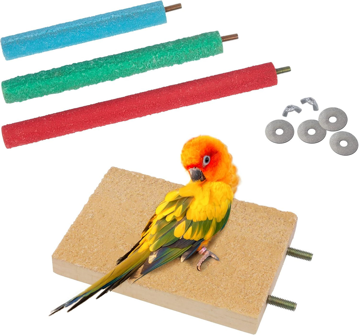 Bird Perches for Conure Stand Natural Wood Platform Bird Nail - Pattern 1