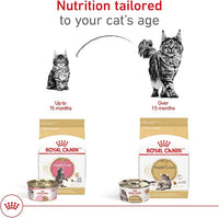 Royal Canin Feline Breed Nutrition Maine Coon Adult Thin Slices in Gravy Canned Cat Food, 3 oz can (24-count)