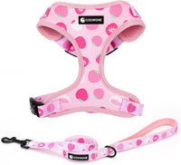 Dog Harness and Leash Set, Adjustable Dog Harness, Dog Leash - Strawberries / S(Chest 13 - 19", Neck 9.5 - 13.1")