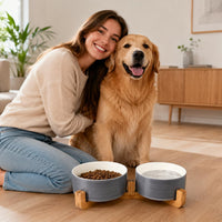 Ceramic Cat Dog Bowl Set with Stand - Grey White / 850ML*2 - image 2