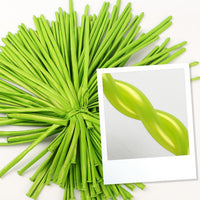 260 Balloons - Clear Long Balloons for Tying Balloon Arch & Balloon Ties – Fun for Kids & Family - Pearl Light Green - image 2