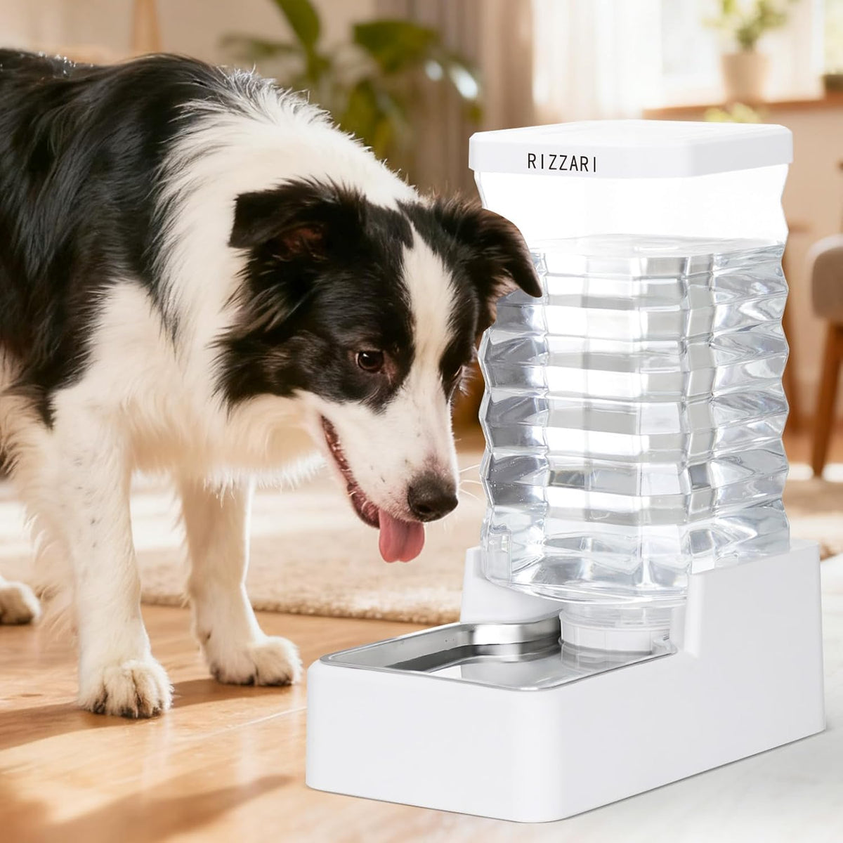 2.4Gallon Dog Water Bowl Dispenser for Dogs:Leak Resistant Waterer – Essentials for Dogs - White with Lid & Filter / 10L - image 4