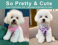 SuperBuddy Upgraded Soft Mesh Dog Harness - XS (Neck Girth 8.6"; Chest Girth: 11"-14") / Pink and Purple Set - image 4