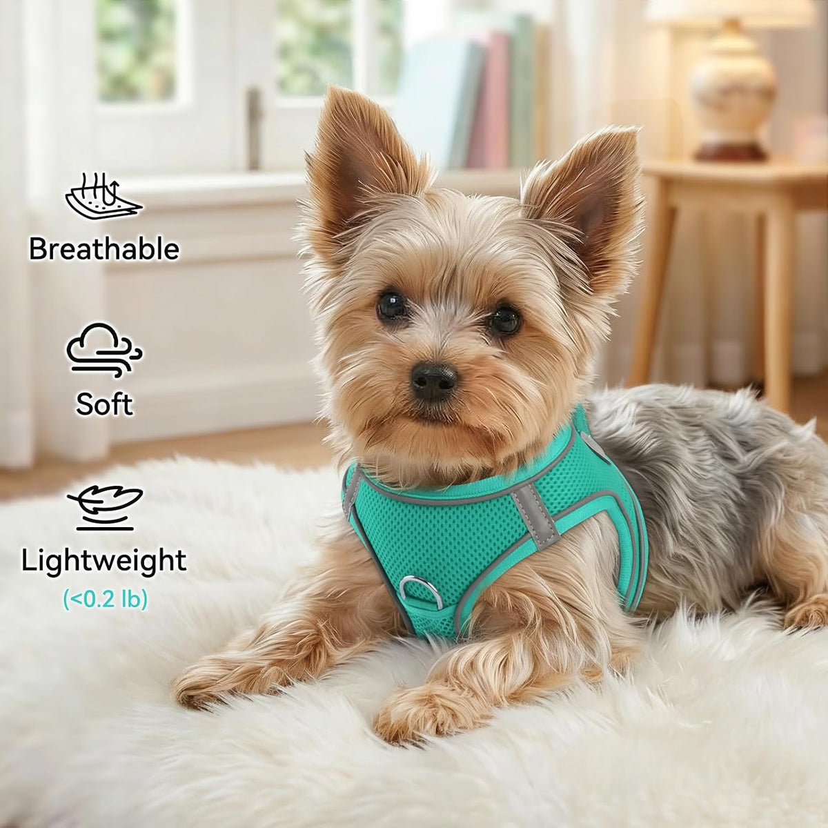 Joytale Step-in Dog Harness, Soft Breathable Mesh, Black S – Essentials for Dogs - L--Chest: 18.5-21.5'' / Teal - image 4