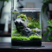 Vimvins 2 Gallon Glass Fish Tank - 5 Gallon - image 4