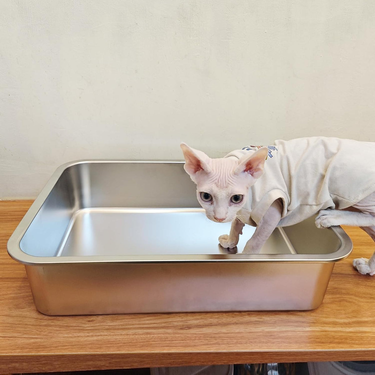 Stainless Steel Cat Litter Box - 17.5"L x 13.5"W / 4" H - image 2