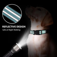 Martingale Collar for Dogs, Reflective Escape Proof, M - Sky Blue / Medium - image 2