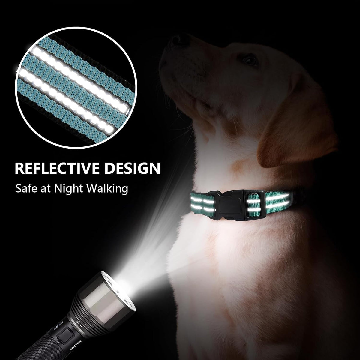 Martingale Collar for Dogs, Reflective Escape Proof, M - Sky Blue / Medium - image 2