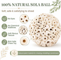 4PCS Bird Toys Sola Balls 2.36'', Bird Foraging Toy - 6 PK - image 3