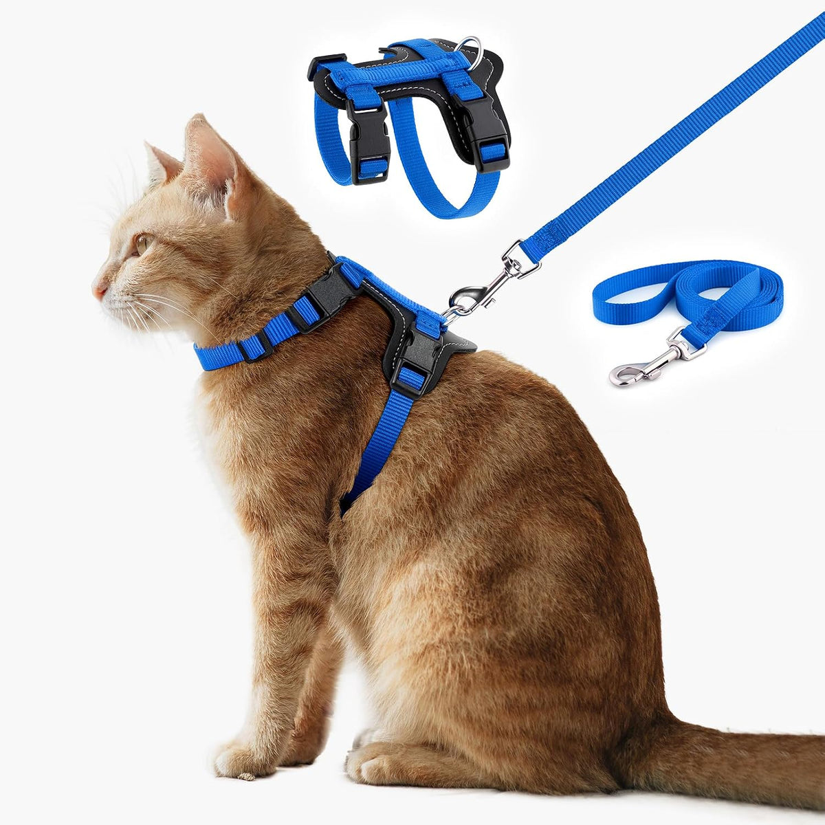 Plutus Pet Adjustable Cat Harness and Leash Set - Royal Blue