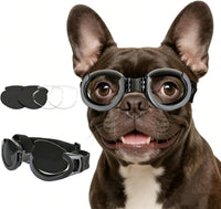 Clear Dog Goggles for Small Dogs - Clear & Black / Medium