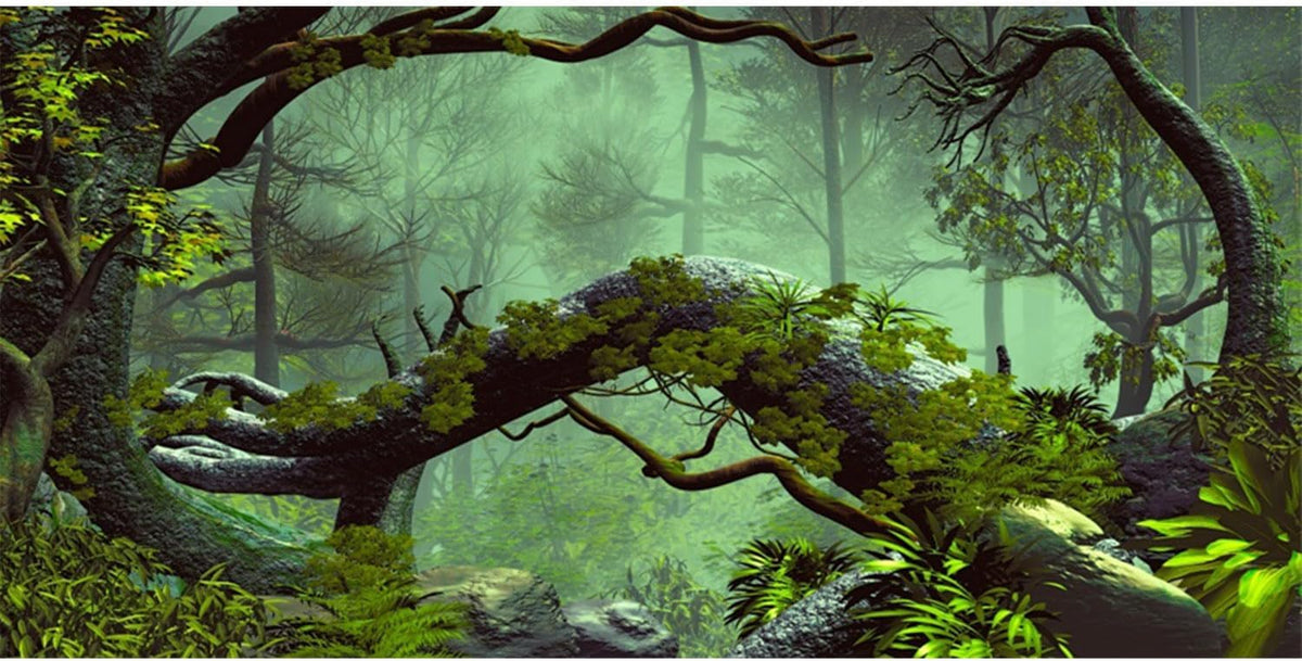 72x18 inches Reptile Habitat Background Foggy Forest Terrarium - 36x18in/90x45cm