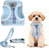 PUPTECK Dog Harness, Collar and Leash Set No Pull for Small Medium Sized – Essentials for Dogs - Blue / S (CHEST 14.5"-16") / Patterned Harness Collar and Leash Set