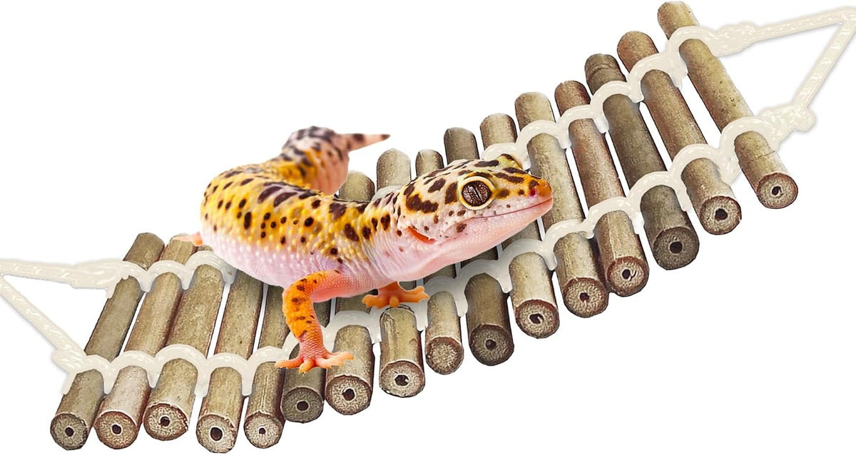 SunGrow Bamboo Gecko Reptile Climbing Bridge and Lizard Lounge - Bamboo