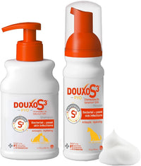 Douxo S3 PYO Chlorhexidine Shampoo & Mousse for Dogs – Essentials for Dogs