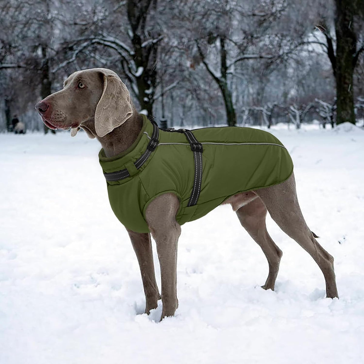 Dog Coat for Large Dogs Waterproof Dog Jacket with Harness Built in – Essentials for Dogs - XX-Large / Army Green - image 3