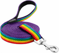 Long Line Dog Training Leash with Padded Handle - 20ft / Rainbow