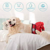 Avont 3 Pack Reusable Dog Diapers Female-Strawberry/Orange/Cherry – Essentials for Dogs - Mixed Pattern - Web/Milk/Jeans / XS - image 3