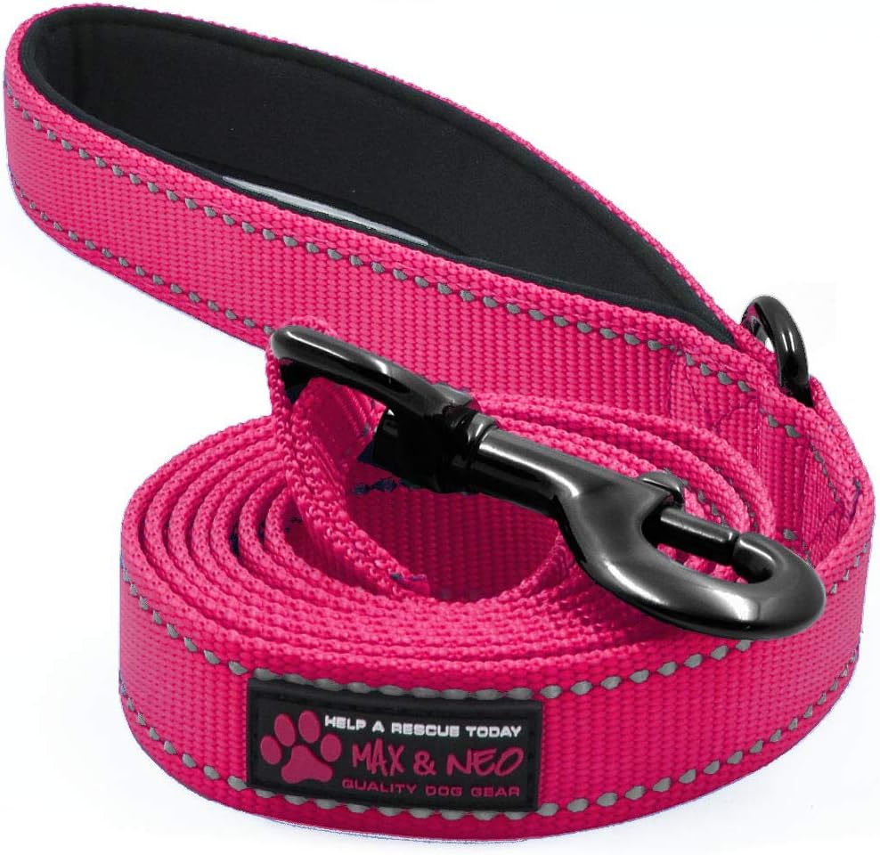 Max and Neo Reflective Nylon Dog Leash - 4 FT x 1" Wide / PINK
