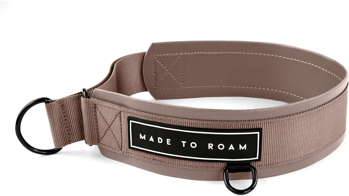 MADE TO ROAM Premium Everyday Dog Collar - Utah Glow / Size 5