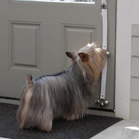 Caldwell's Pet Supply Co. Dog Potty Bells, Dog Door Bell - One Potty Bell / White - image 3