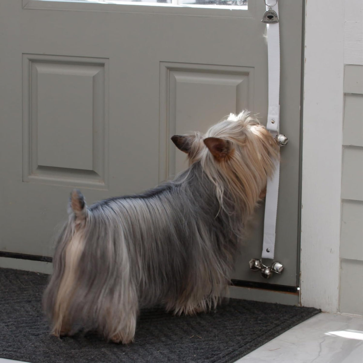 Caldwell's Pet Supply Co. Dog Potty Bells, Dog Door Bell - One Potty Bell / White - image 3